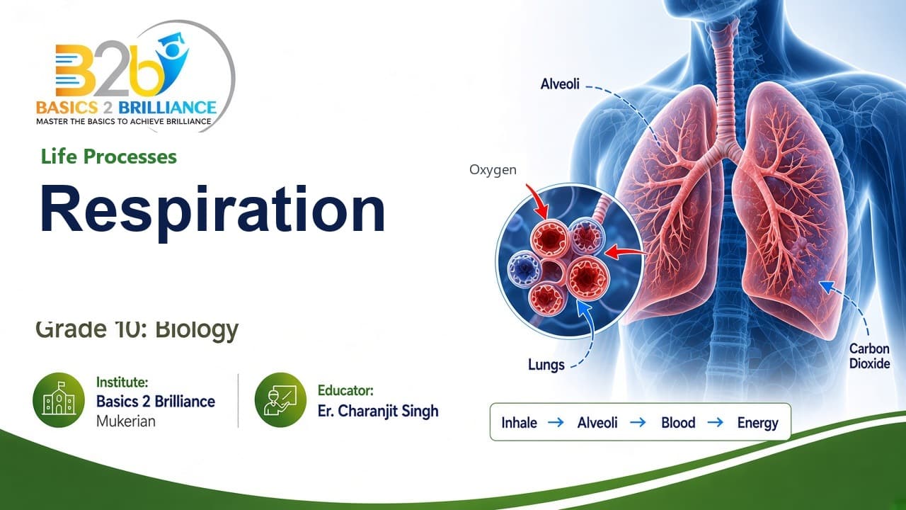 Grade 10 Biology · Ch 6 Life Processes: Respiration