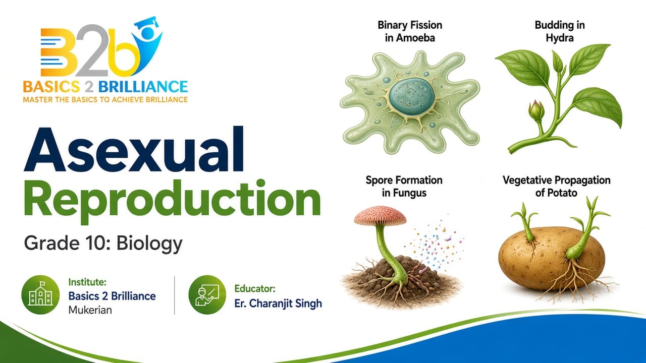 Grade 10 Biology · Ch 8 How do Organisms Reproduce: Asexual Reproduction